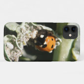 British 7 Spot Ladybug iPhone 3 Fall Case-Mate iPhone Hülle (Rückseite (Horizontal))