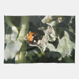 British 7 Spot Ladybug Küchentücher