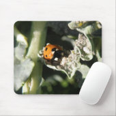 British 7 Spot Ladybug Mousepad (Mit Mouse)