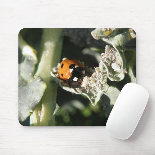 British 7 Spot Ladybug Mousepad (Mit Mouse)