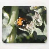British 7 Spot Ladybug Mousepad (Vorne)