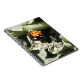 British 7 Spot Ladybug Notebook Notizblock (Rechte Seite)