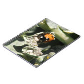 British 7 Spot Ladybug Notebook Notizblock (Linke Seite)