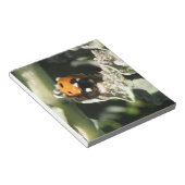 British 7 Spot Ladybug Notepad Notizblock (angewinkelt)