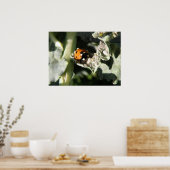 British 7 Spot Ladybug Print Poster (Küche)