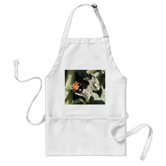 British 7 Spot Ladybug Schürze (Vorne)