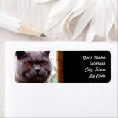 British Blue Cat Address Labels (Insitu)