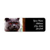 British Blue Cat Address Labels (Vorne)
