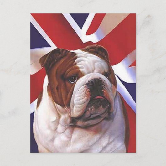 BRITISH BULLDOG POSTKARTE (Vorderseite)