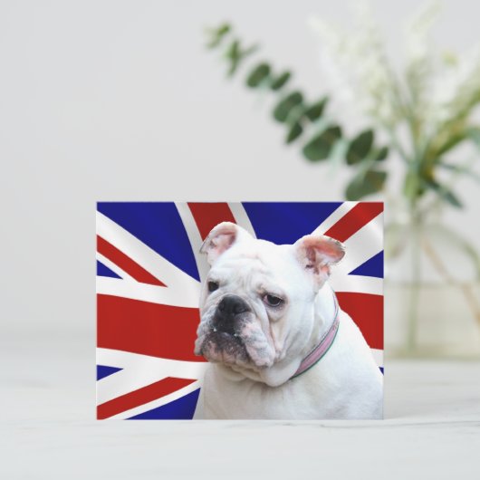 British Bulldog Postkarte (Stehend Vorderseite)