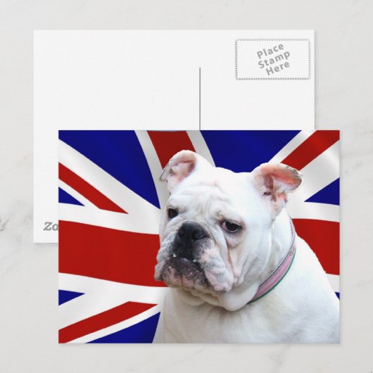 British Bulldog Postkarte (Vorne/Hinten)