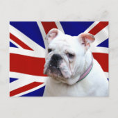 British Bulldog Postkarte (Vorderseite)