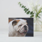 British Bulldog Postkarte (Stehend Vorderseite)