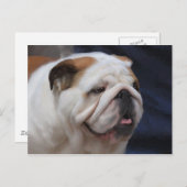 British Bulldog Postkarte (Vorne/Hinten)