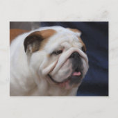 British Bulldog Postkarte (Vorderseite)