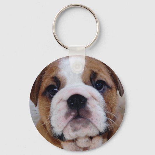 British Bulldog Welppy Keyring Schlüsselanhänger (Vorderseite)