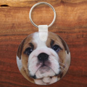 British Bulldog Welppy Keyring Schlüsselanhänger (Vorderseite)