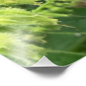 British Bumble Bee on Wild Common Comfrey Fotodruck (Ecke)