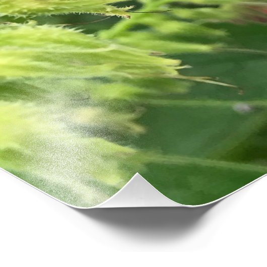 British Bumble Bee on Wild Common Comfrey Fotodruck (Ecke)