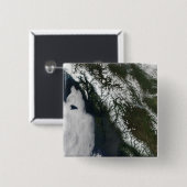 British Columbia Button (Vorne & Hinten)