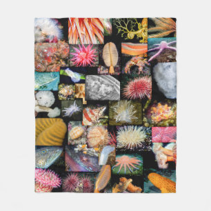 British Columbia Marine Life Collage Blanket Fleecedecke
