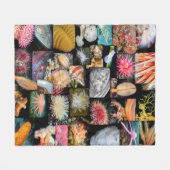 British Columbia Marine Life Collage Blanket Fleecedecke (Vorderseite (Horizontal))