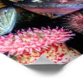 British Columbia Marine Life Collage Poster (Ecke)