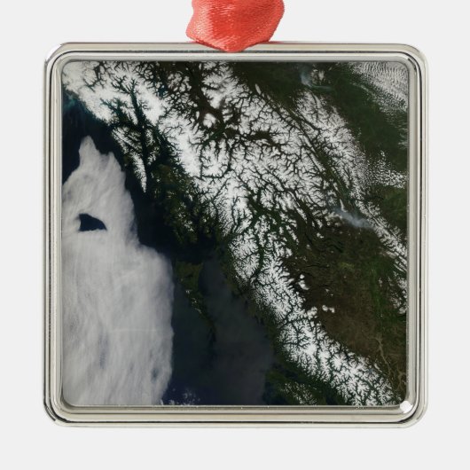 British Columbia Ornament Aus Metall (Vorne)
