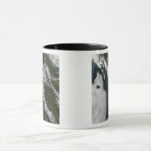 British Columbia Tasse (Zentrum)