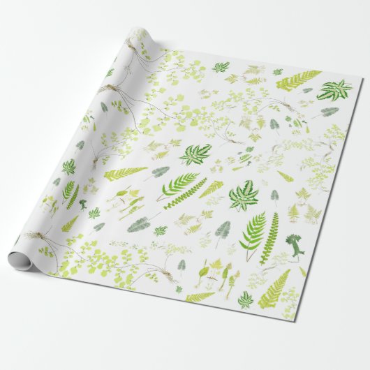 British Ferns in Victorian Drawings Wrapping Paper Geschenkpapier (Ungerollt)