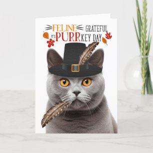 British Gray Cat Feline Grateful for PURRkey Day Feiertagskarte