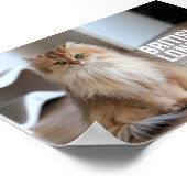 British Longhair Cat Breed Poster (Ecke)