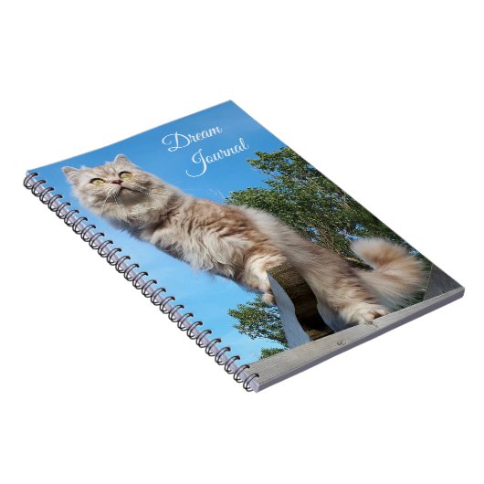 British Longhair Cat Dream Journal Notizblock (Rechte Seite)