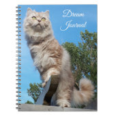 British Longhair Cat Dream Journal Notizblock (Vorderseite)