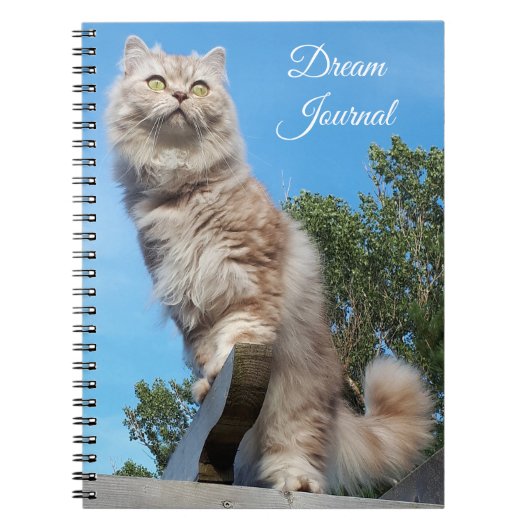British Longhair Cat Dream Journal Notizblock (Vorderseite)