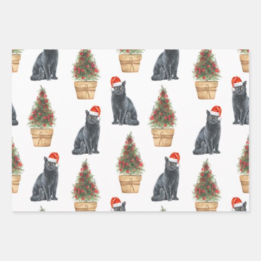 British Longhair Cat In Weihnachtsmannmütze, Cat F Geschenkpapier Set (Vorderseite)