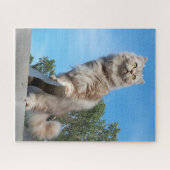 British Longhair Cat - Schokolade, Silver Tabby Puzzle (Horizontal)