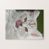 British Longhair Kitten - Schokolade, Silver Tabby Puzzle (Horizontal)