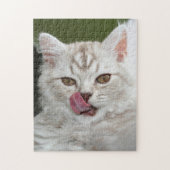 British Longhair Kitten - Schokolade, Silver Tabby Puzzle (Vertikal)