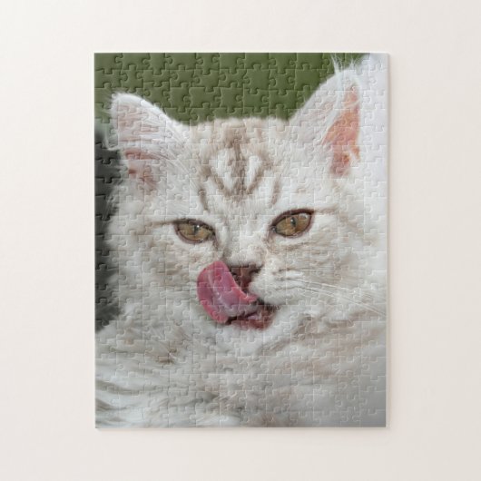 British Longhair Kitten - Schokolade, Silver Tabby Puzzle (Vertikal)