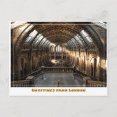 British Natural History Museum in London - England Postkarte (Vorderseite)