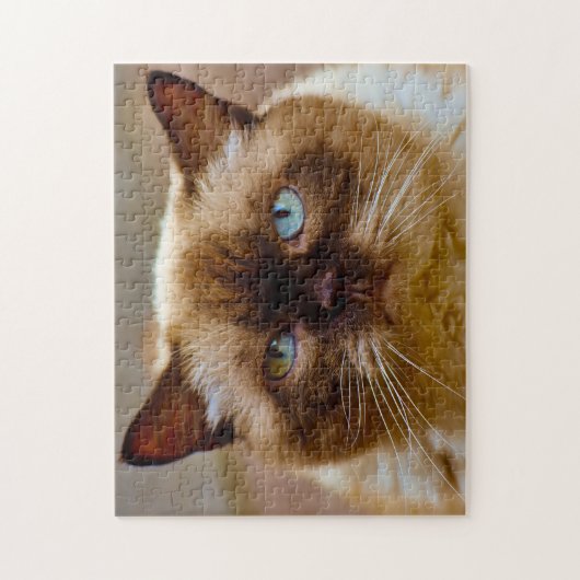 British Short Hair Cat. Puzzle (Vertikal)