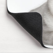 British Shorthair (2 Jahre alt) liegt vorne Mousepad (Ecke)