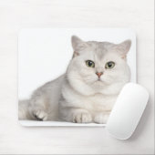 British Shorthair (2 Jahre alt) liegt vorne Mousepad (Mit Mouse)