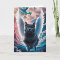 British Shorthair Angel