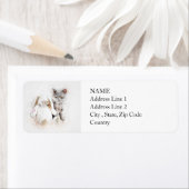 British Shorthair & Bunny | ABSTRAKT | Wasserfarbe (Insitu)