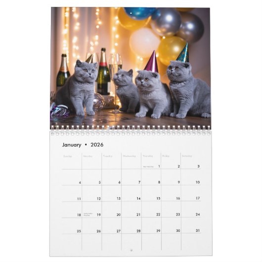 British Shorthair Calendar Kalender (Jan 2026)