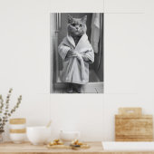 British Shorthair Cat Bathrobe Print, Funny Poster (Küche)