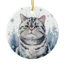 British Shorthair Cat Circle Weihnachten Weihnacht