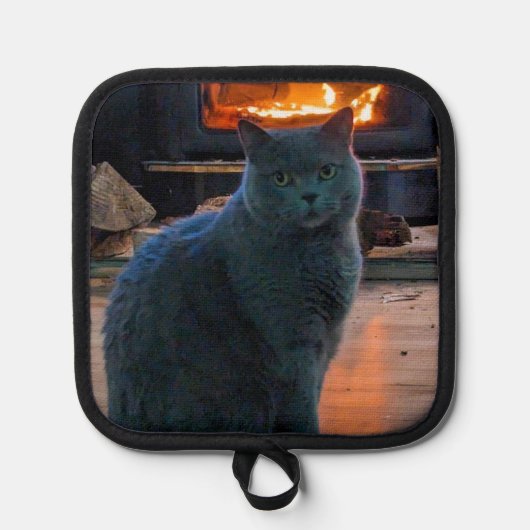 British Shorthair Cat Daddy Kitty Fireplace Topflappen (Vorderseite)